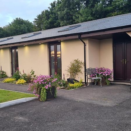 The Old Mountain Stables Caerllwyn Ganol Farm Apartment Newport  Ngoại thất bức ảnh